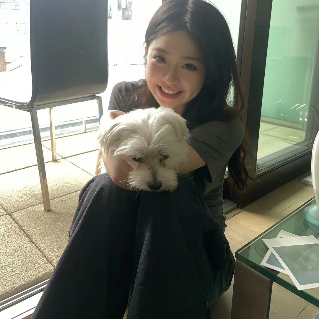 纽约灾星第二季